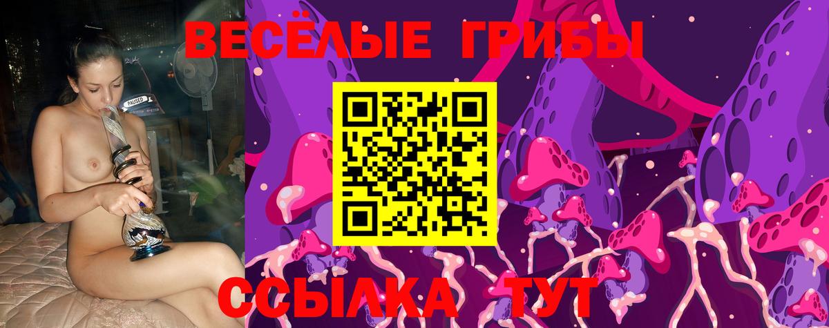 Галлюциногенные грибы GOLDEN TEACHER  Вход с VPN  Алексеевка 