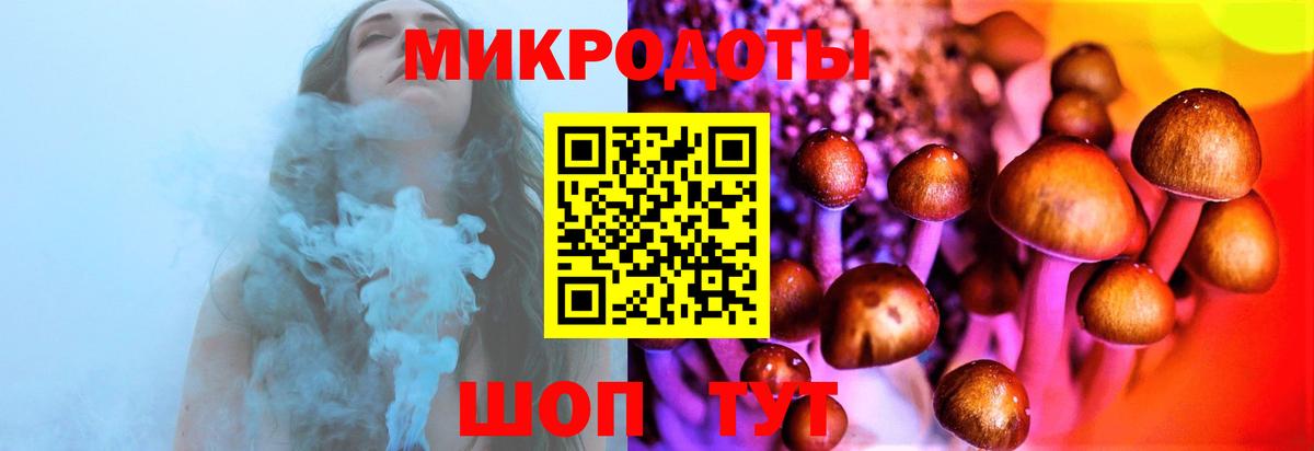 Псилоцибиновые грибы Cubensis Алексеевка